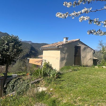 Villa Cabanon entouré de montagnes et d'oliviers Nyons Exterior foto