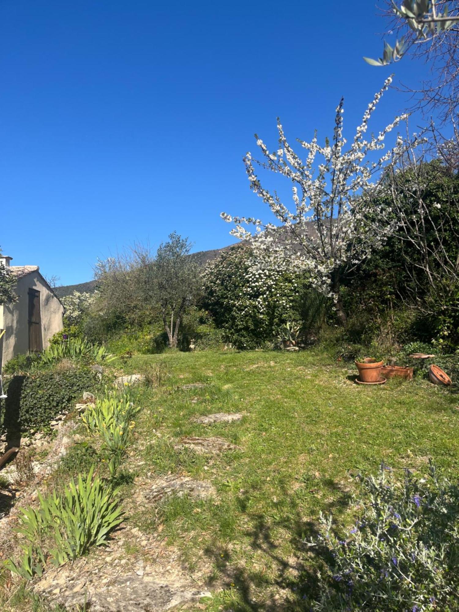 Villa Cabanon entouré de montagnes et d'oliviers Nyons Exterior foto